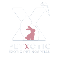 โรงพยาบาลสัตว์ Petxotic